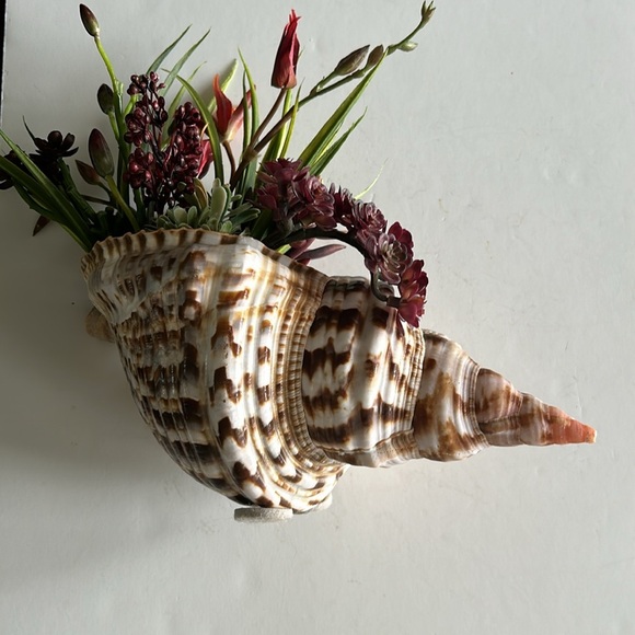 Shell Art Triton Trumpet Shell Faux Floral Planter Decor - Picture 6 of 10